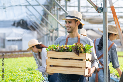 Asian young handsone male farmer work in vegetables hydroponic farm.	 photo
