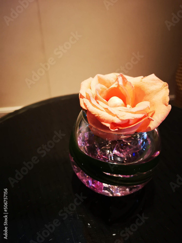rose in a glass