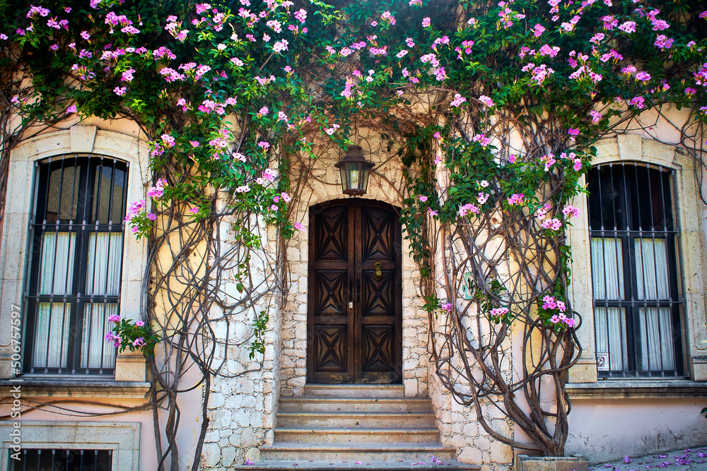 Obraz premium house with flowers door of wood and two windows in san miguel de allende guanajuato 