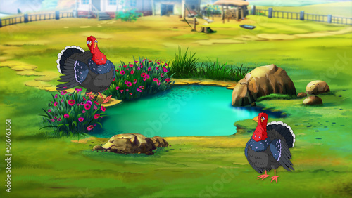 Turkeys on a farm in the village