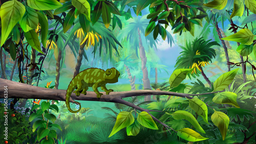 Green chameleon in the rainforest