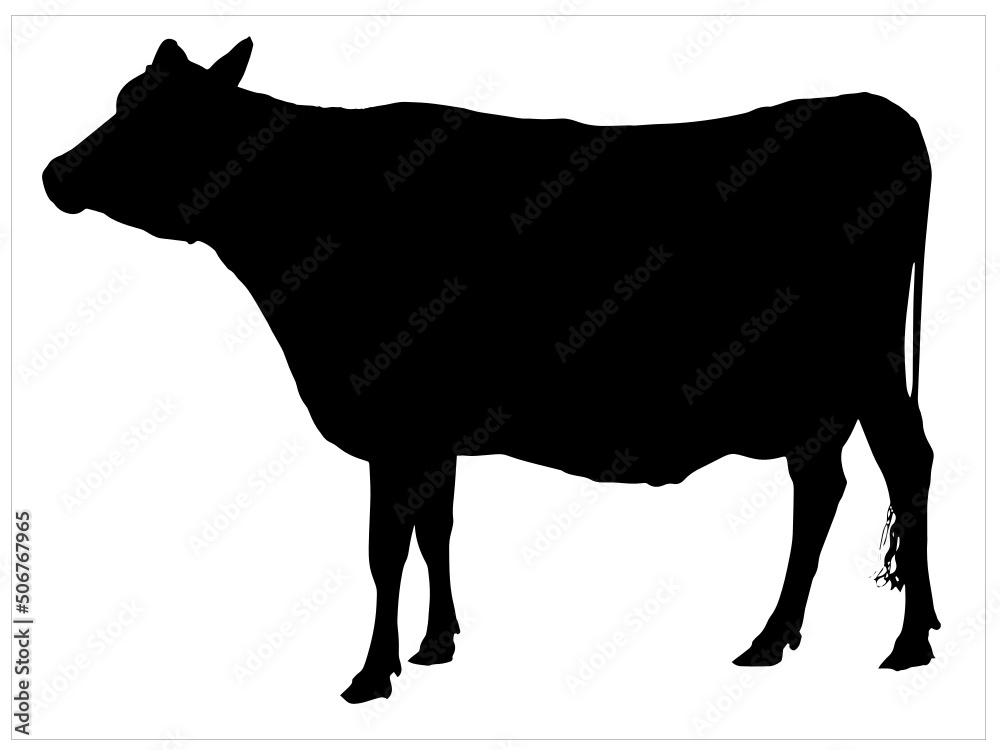 Black silhouette cow isolated image vector image