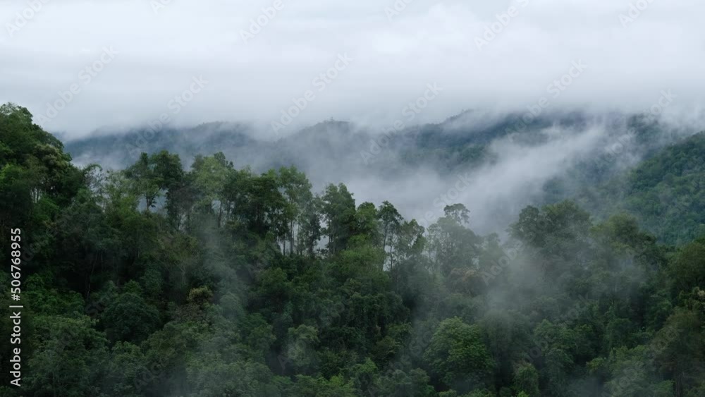 Landscape of greenery rainforest and hills on foggy day Landscape of greenery rainforest and hills on foggy day