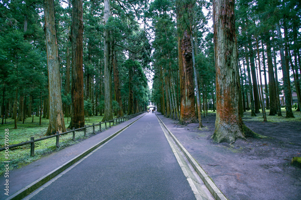 Fototapeta premium 瑞巌寺