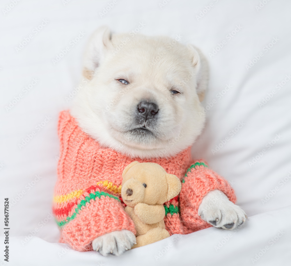 Cute Golden retriever puppy wearing warm sweater sleeps under white blanket on a bed at home and hugs favorite toy bear. Top down view
