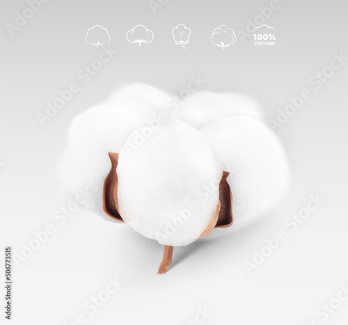 High realistic cotton boll with icons. Vector illustration. Great for different backgrounds. EPS10.	