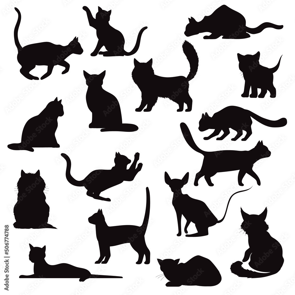 Domestic Cat Breeds silhouettes Premium vector template