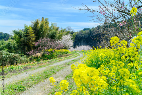 宮城の里風景　「田舎の春景色」　
Miyagi village scenery 