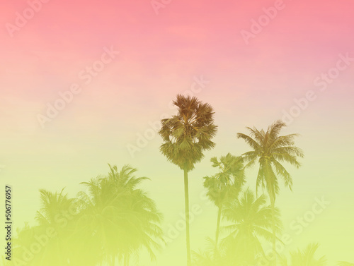The baner tropical at the  Summer Vintge Palm Trees Vintage - cloud sky summer tropical summer image background © SASITHORN