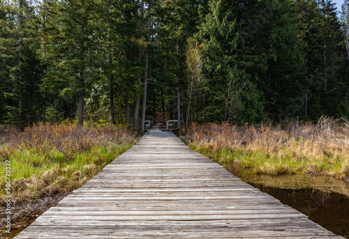 Eco path wooden walkway in park of British Columbia. Ecological trail path route walkways laid in the forest