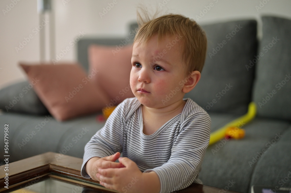 Portrait of cute little boy standing in living room beside sofa Portrait of cute little boy standing in living room beside sofa