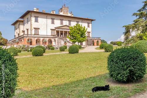 A black cat on the grass with the Medici villa of Poggio a Caiano in the background, Prato, Italy photo