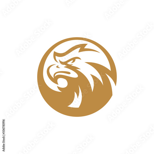 Bird eagle head and circle frame line art logo design. Falcon or hawk badge emblem vector icon