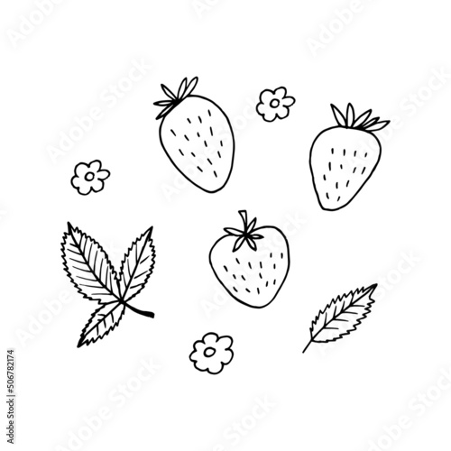 strawberry and leaves set. hand drawn vector illustration in doodle style. minimalism. icon, sticker, decor. berries, fruits, summer, food.