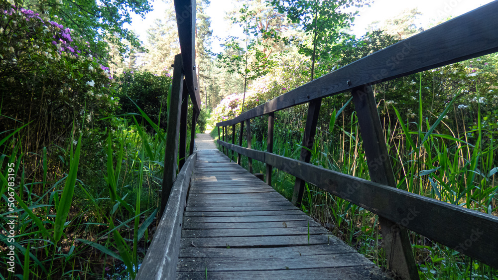 Alte Holzbrücke umgeben von Bäumen Sträuchern und Rhododendron