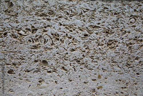 Smooth cut of the seashell stone. Coquina stone texture
