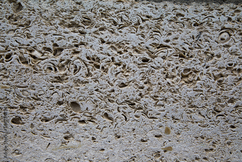 Smooth cut of the seashell stone. Coquina stone texture