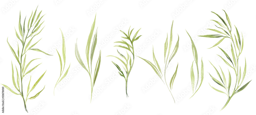 Naklejka premium Wild flowers and leaves clipart. Watercolor. Greenery.