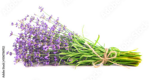 Fresh Lavender flowers on a white background