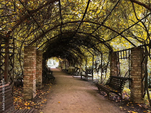 pergola archway under green pergola in park