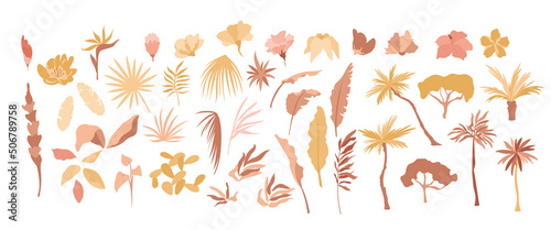Tropical trees, leaves, flowers big collection. Set with palms, exotic branches, fern, floral buds, foliage. Summer nature elements. Vector illustrations bundle.