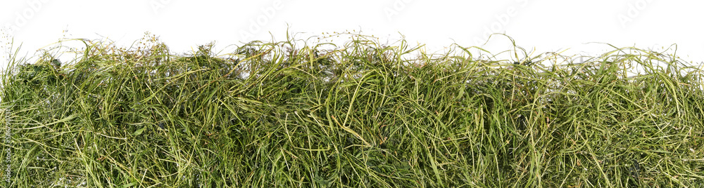 Obraz premium Heu Haufen freigestellt auf weißem Hintergrund