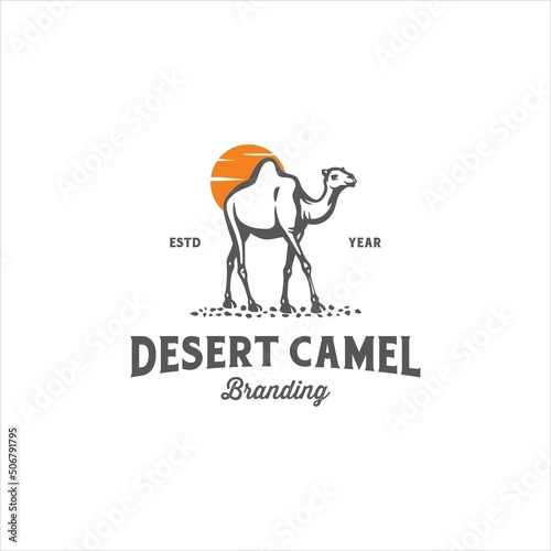 Camel and Desert Logo Design Vector Image