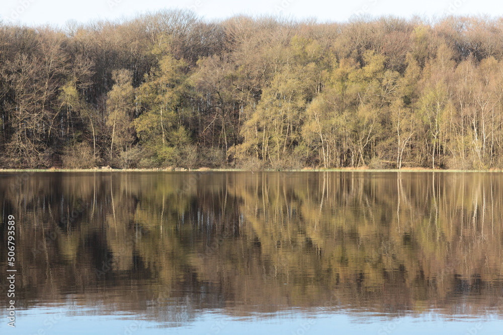 étang en forêt