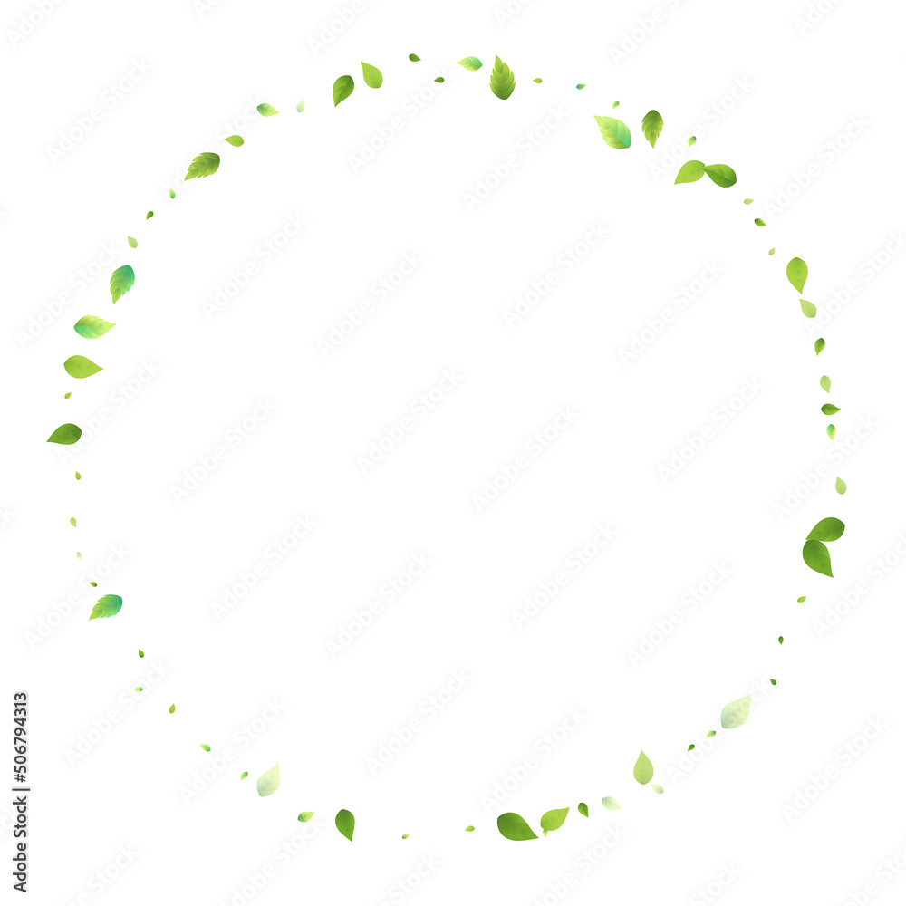 Leaves Green Falling Flying Foliage Leaf Tea Mint Leaves Green Falling Flying Foliage Leaf Tea Mint
