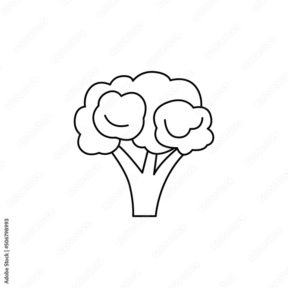 Broccoli icon in line style icon, isolated on white background