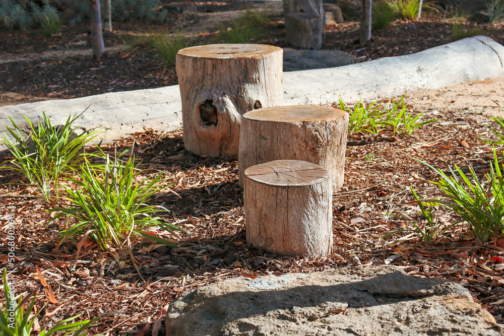 landscaping with cut tree stump stepping stones