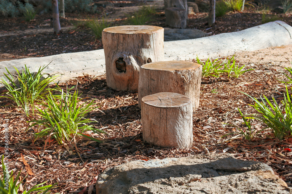 landscaping with cut tree stump stepping stones landscaping with cut tree stump stepping stones