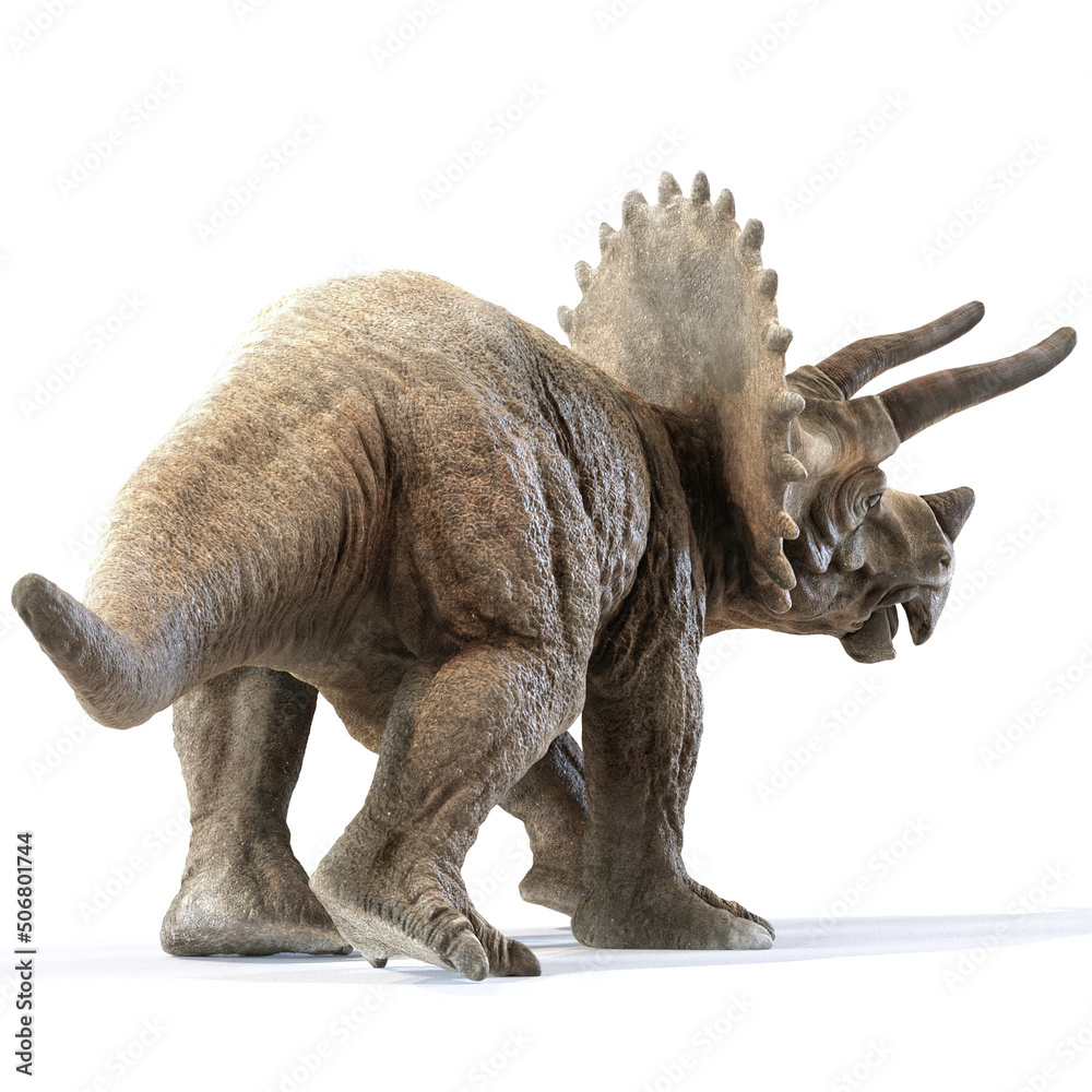 triceratops dinosaur on white rendering 3d rendering triceratops dinosaur on white rendering 3d rendering