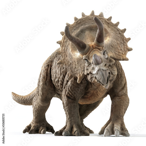 triceratops dinosaur 3d rendering on white background © Roman