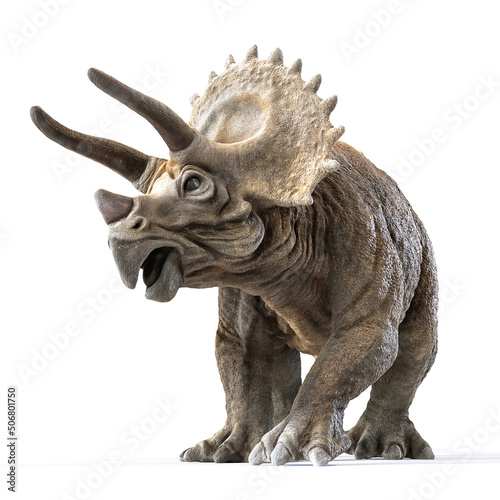Fototapeta triceratops dinosaur on white rendering 3d rendering