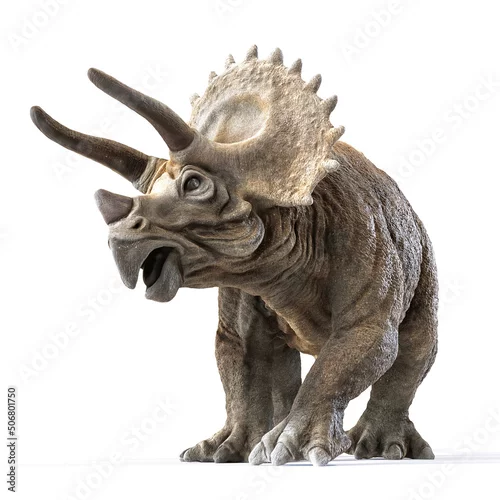Obraz triceratops dinosaur on white background premium 3d rendering