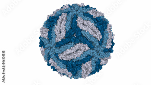 3D illustration of a Zika virus molecular surface rendered in the shades of blue on white background. photo