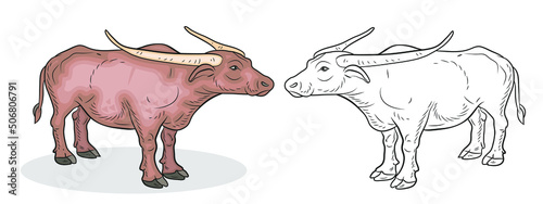 Animals, black and white and color image of a cow.
 Coloring book for children. Vector drawing, design.