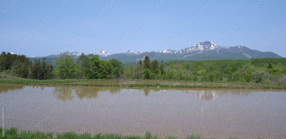 水田に映るニセコ連峰 / Niseko mountain range reflected in rice fields