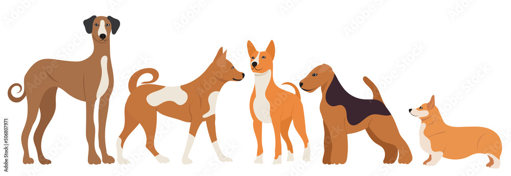 dogs set in flat design isolated