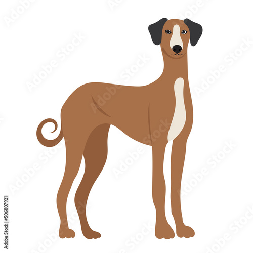 dog in flat design isolated  vector