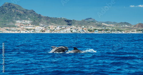 Canvas Print View on Tenerife island from ocean