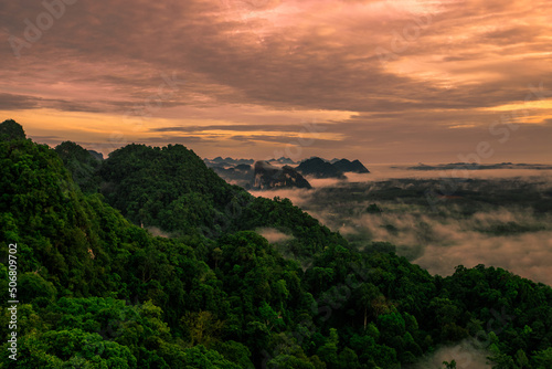 Natural blurred background of fog scattered among trees in the morning  with soft sunlight from the sun  seasonal beauty.