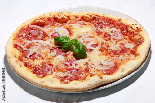 Obraz na płótnie Pizza Salami Zwiebeln w salonie