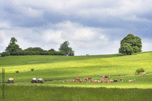 Beautiful view of the landscape of Bohemian Switzerland. The photo shows a meadow, trees and cows grazing in a meadow The sky is cloudy with dark clouds.