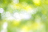 Green blur abstract nature background