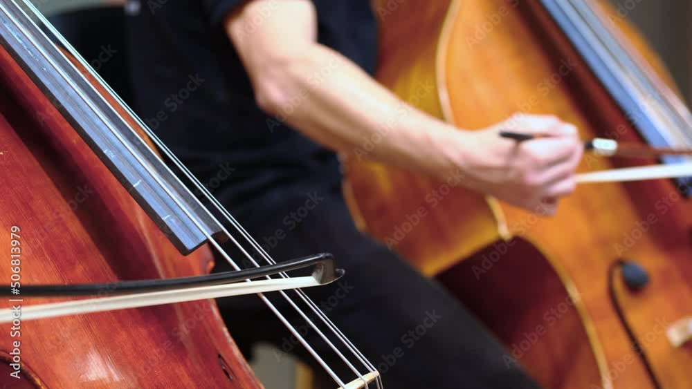Double bass player playing in the philharmonic orchestra, instrument concept Double bass player playing in the philharmonic orchestra, instrument concept