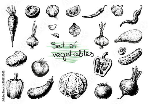 Vector hand drawn sketch vegetable set. Eco foods.Vector illustration