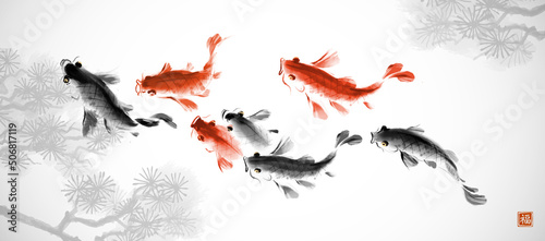 School of koi carps on background with pine tree branches. Traditional oriental ink painting sumi-e, u-sin, go-hua. Symbol of good fortune, success and prosperity. Hieroglyph - well-being