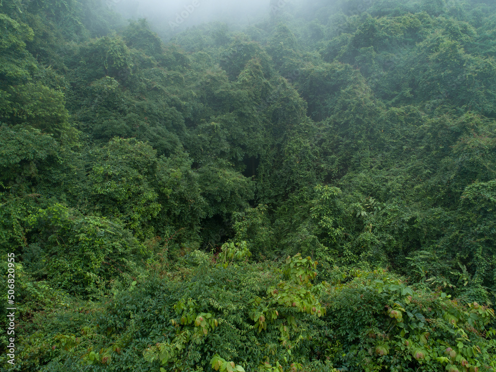 Aerial view of beautiful forest mountain landscape